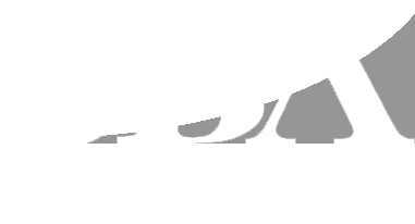 SBA 8(a) Certified